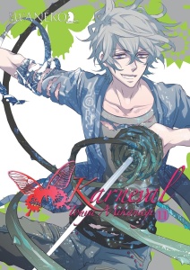 Karneval 11