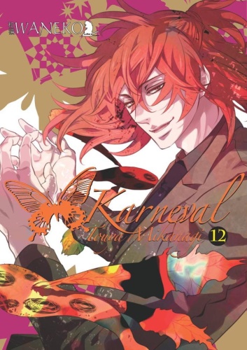 tom12-karneval.jpg