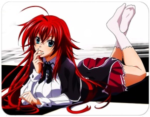 Podkładka pod mysz High School DxD #01