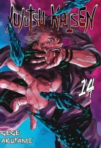 Jujutsu Kaisen 14