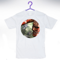2_6.png